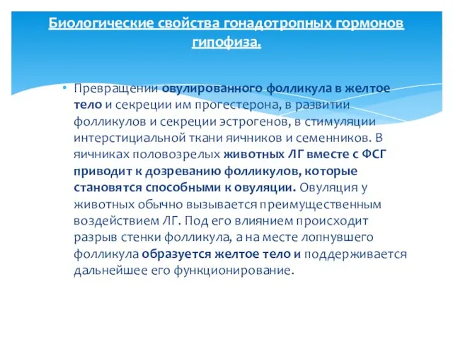 Превращении овулированного фолликула в желтое тело и секреции им прогестерона,