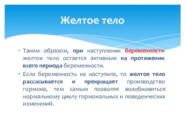 Таким образом, при наступлении беременности желтое тело остается активным на