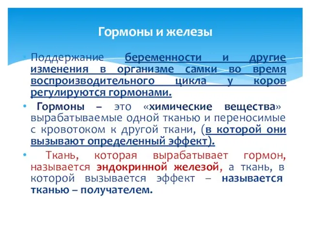 Поддержание беременности и другие изменения в организме самки во время