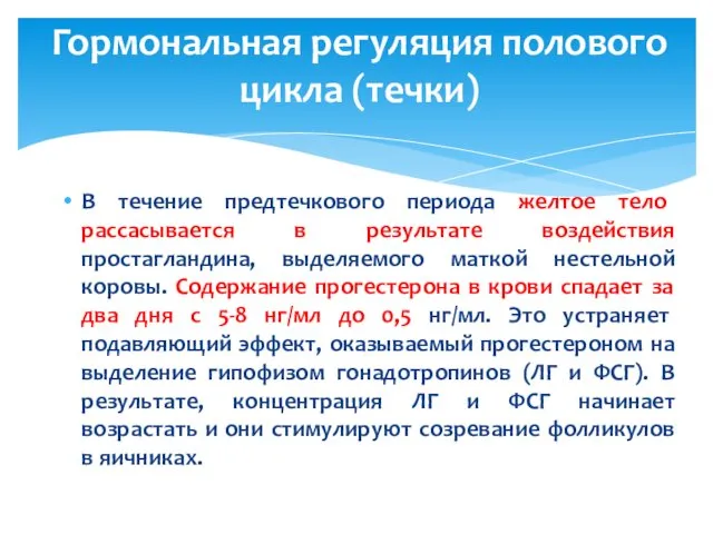 В течение предтечкового периода желтое тело рассасывается в результате воздействия