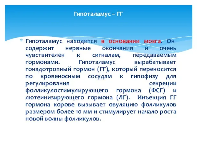 Гипоталамус находится в основании мозга. Он содержит нервные окончания и