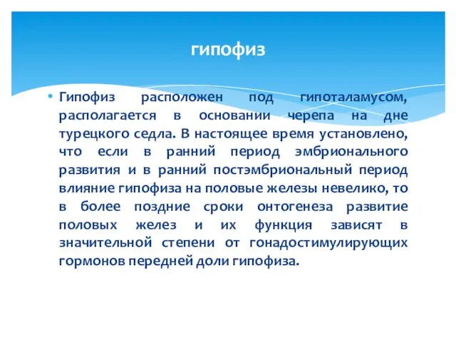 Гипофиз расположен под гипоталамусом, располагается в основании черепа на дне