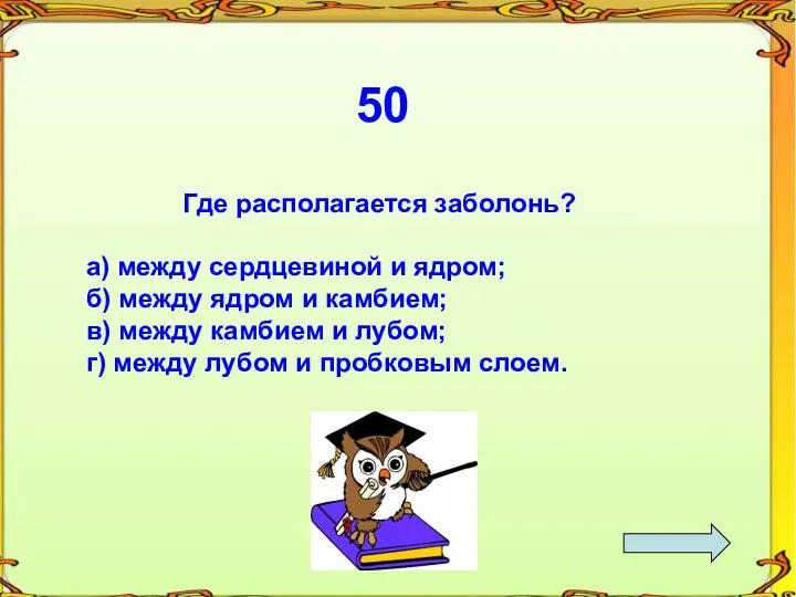 50 Где располагается заболонь? а) между сердцевиной и ядром; б)