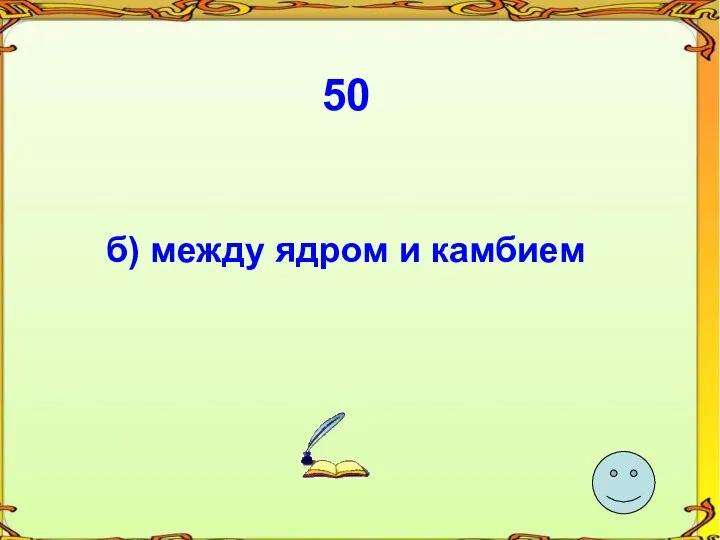 50 б) между ядром и камбием