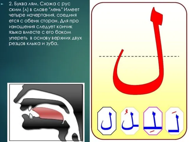 2. Бук­ва лям. Схо­жа с рус­ским (л) в сло­ве "лень"
