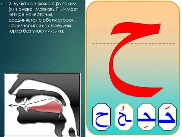 2. Буква ха. Схожа с русским (х) в слове “махнатый”.