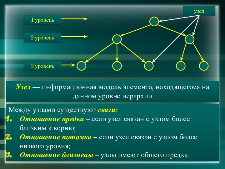 Узел — информационная модель элемента, находящегося на данном уровне иерархии