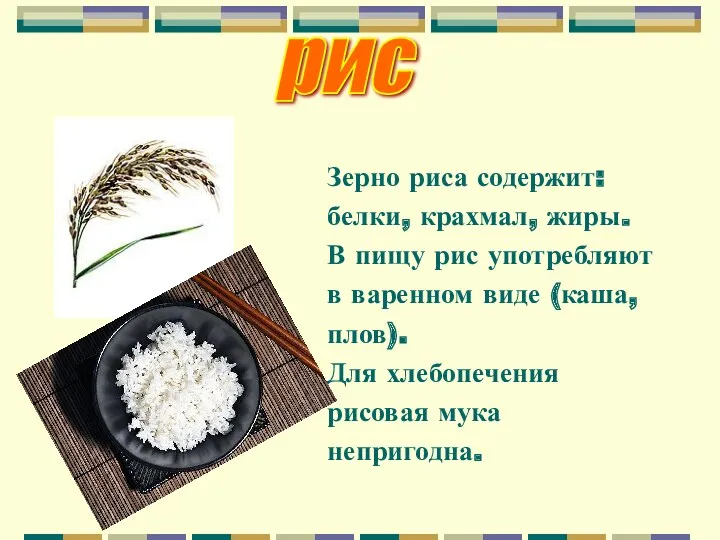 рис Зерно риса содержит: белки, крахмал, жиры. В пищу рис употребляют в варенном