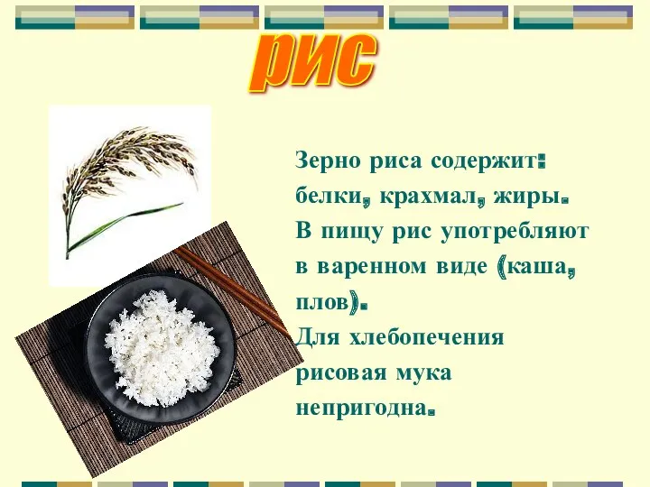 рис Зерно риса содержит: белки, крахмал, жиры. В пищу рис