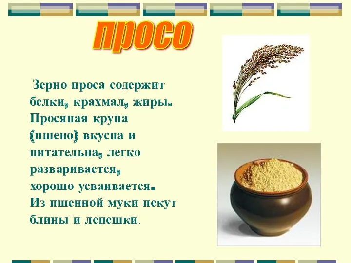 просо Зерно проса содержит белки, крахмал, жиры. Просяная крупа (пшено) вкусна и питательна,