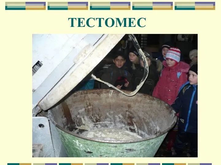 ТЕСТОМЕС