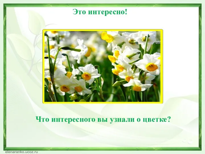 Это интересно! Что интересного вы узнали о цветке?