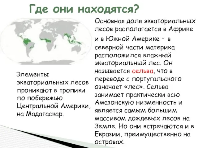 Элементы экваториальных лесов проникают в тропики по побережью Центральной Америки,