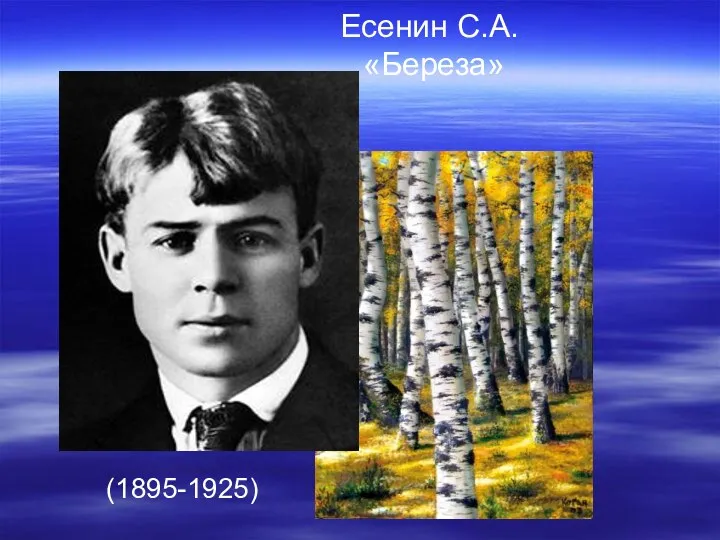 Есенин С.А. «Береза» (1895-1925)