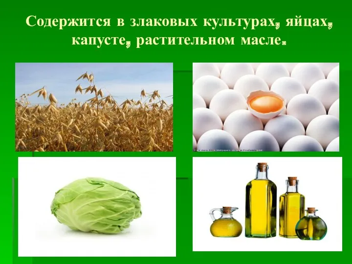 Содержится в злаковых культурах, яйцах, капусте, растительном масле.