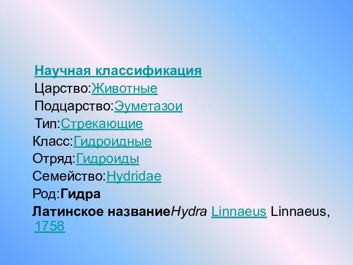 Научная классификация Царство:Животные Подцарство:Эуметазои Тип:Стрекающие Класс:Гидроидные Отряд:Гидроиды Семейство:Hydridae Род:Гидра Латинское названиеHydra Linnaeus Linnaeus, 1758