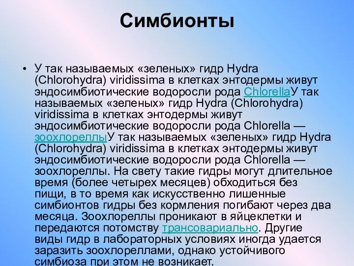 Симбионты У так называемых «зеленых» гидр Hydra (Chlorohydra) viridissima в