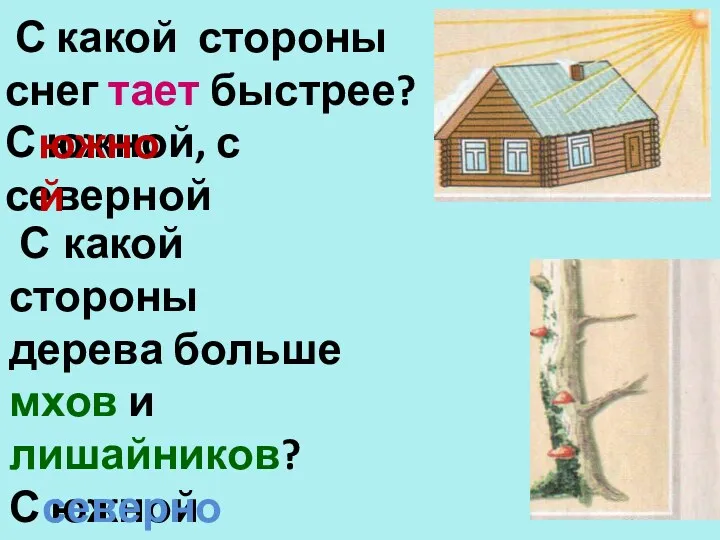 С какой стороны снег тает быстрее? С южной, с северной