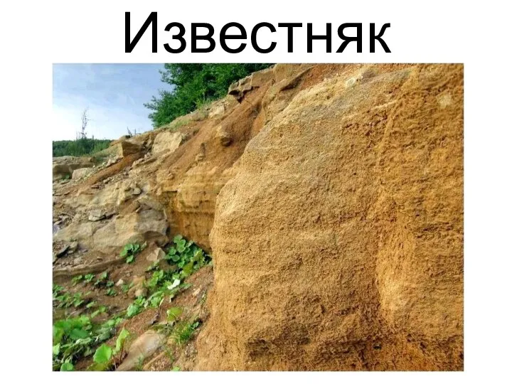 Известняк