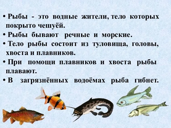 Рыбы - это водные жители, тело которых покрыто чешуёй. Рыбы