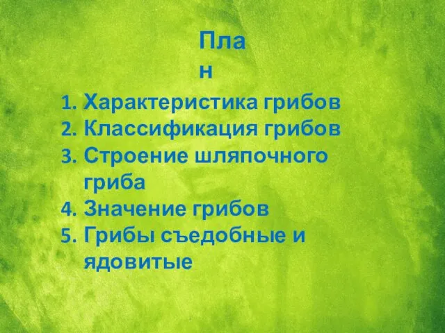 План Характеристика грибов Классификация грибов Строение шляпочного гриба Значение грибов Грибы съедобные и ядовитые