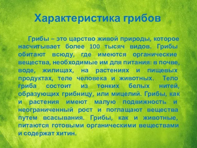 Характеристика грибов Грибы – это царство живой природы, которое насчитывает