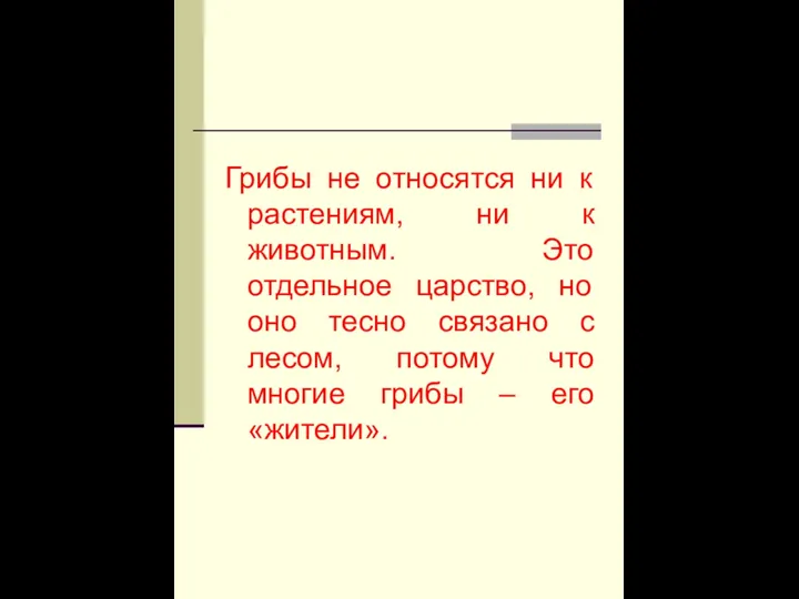 Грибы не относятся ни к растениям, ни к животным. Это