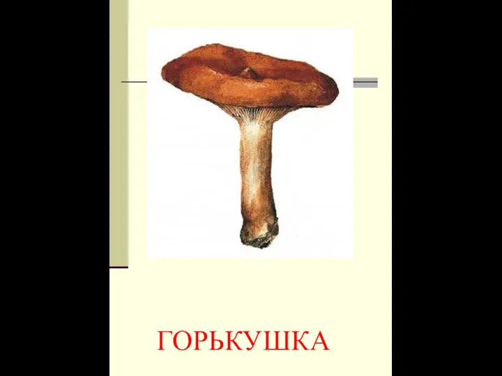 ГОРЬКУШКА