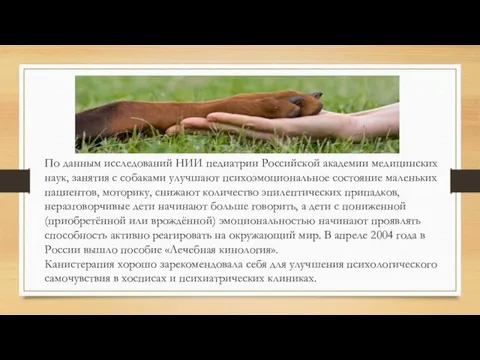 По данным исследований НИИ педиатрии Российской академии медицинских наук, занятия с собаками улучшают