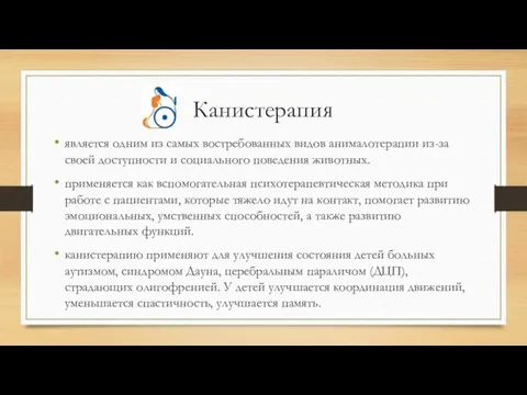 Канистерапия является одним из самых востребованных видов анималотерапии из-за своей