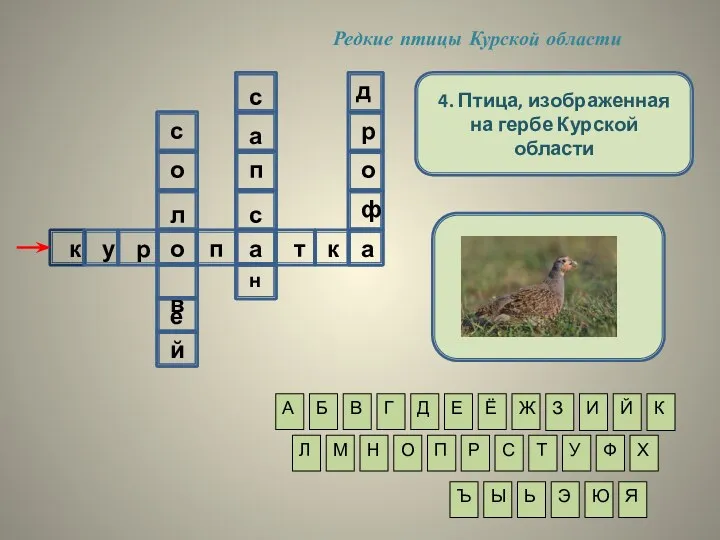 Редкие птицы Курской области 4. Птица, изображенная на гербе Курской области А Б