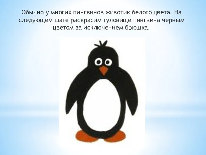 Обычно у многих пингвинов животик белого цвета. На следующем шаге раскрасим туловище пингвина