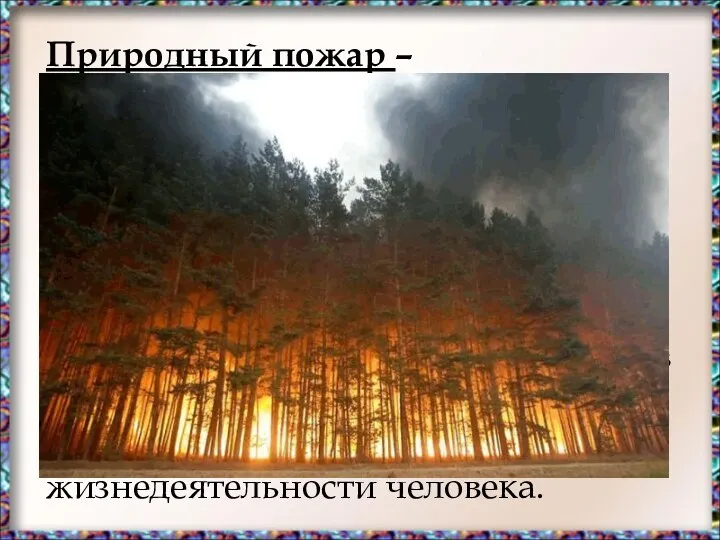 Природный пожар – неконтролируемый процесс горения, стихийно возникающий и распространяющийся