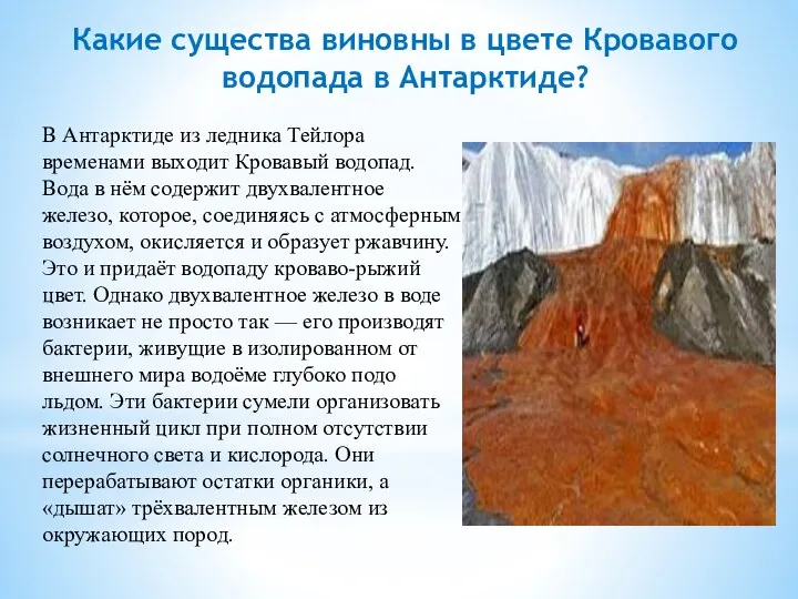 Какие существа виновны в цвете Кровавого водопада в Антарктиде? В
