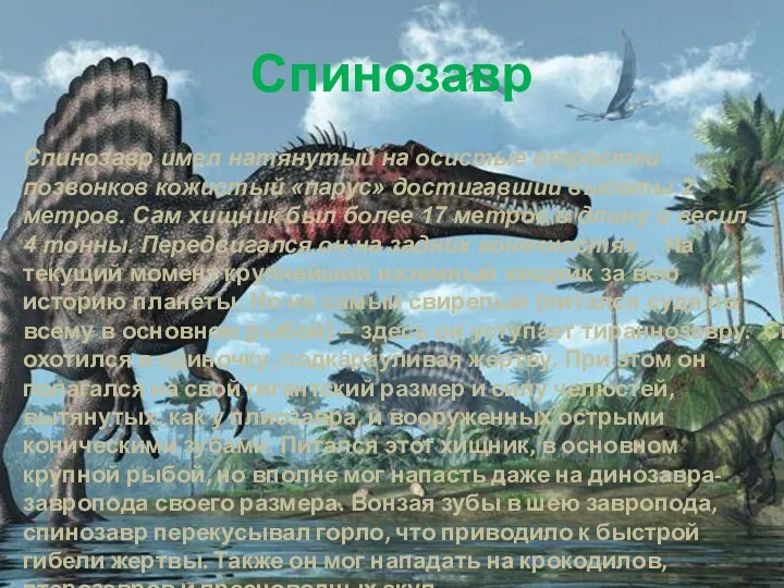 Спинозавр Спинозавр имел натянутый на осистые отростки позвонков кожистый «парус»