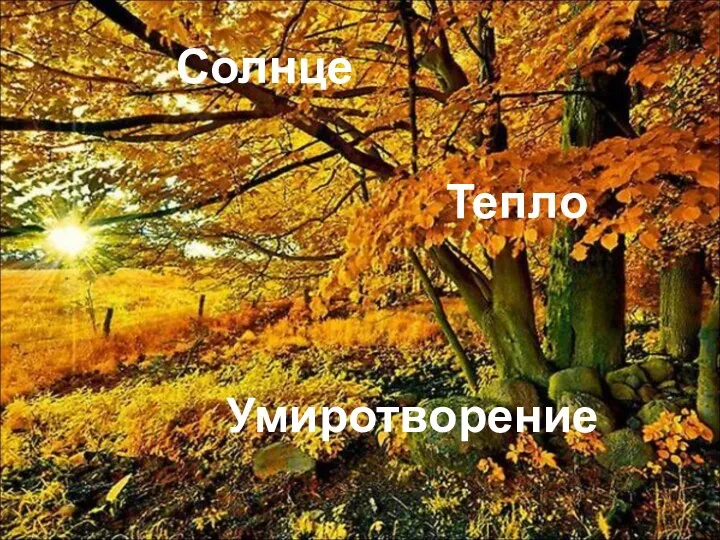 Солнце Тепло Умиротворение