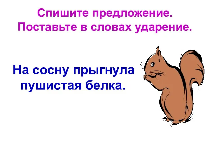 Спишите предложение. Поставьте в словах ударение. На сосну прыгнула пушистая белка.