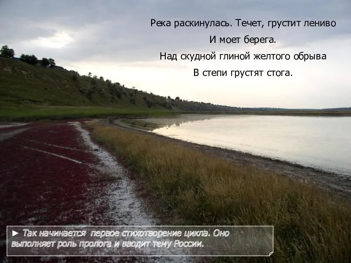 Река раскинулась. Течет, грустит лениво И моет берега. Над скудной глиной желтого обрыва