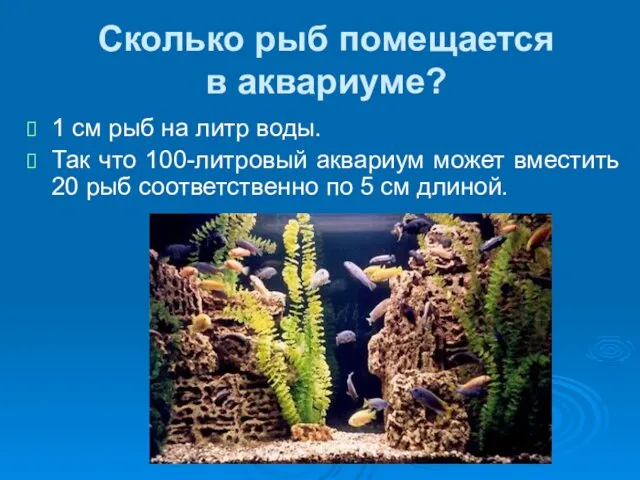 Сколько рыб помещается в аквариуме? 1 см рыб на литр