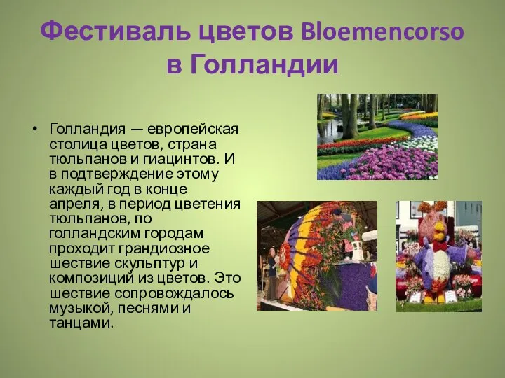 Фестиваль цветов Bloemencorso в Голландии Голландия — европейская столица цветов, страна тюльпанов и