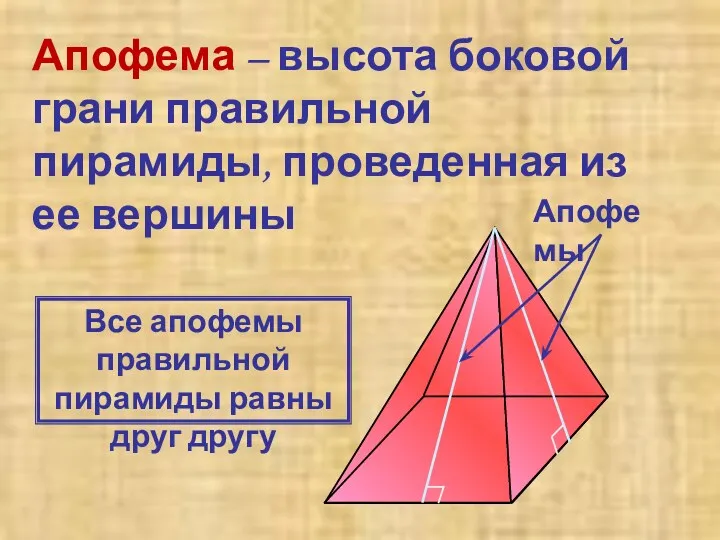 Апофема – высота боковой грани правильной пирамиды, проведенная из ее вершины Апофемы Все