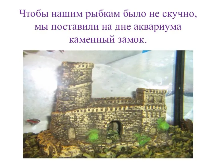 Чтобы нашим рыбкам было не скучно, мы поставили на дне аквариума каменный замок.