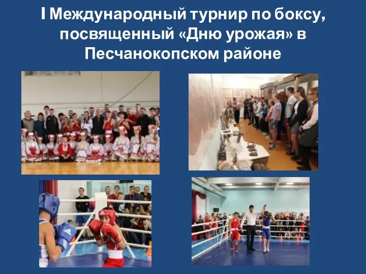 I Международный турнир по боксу, посвященный «Дню урожая» в Песчанокопском районе