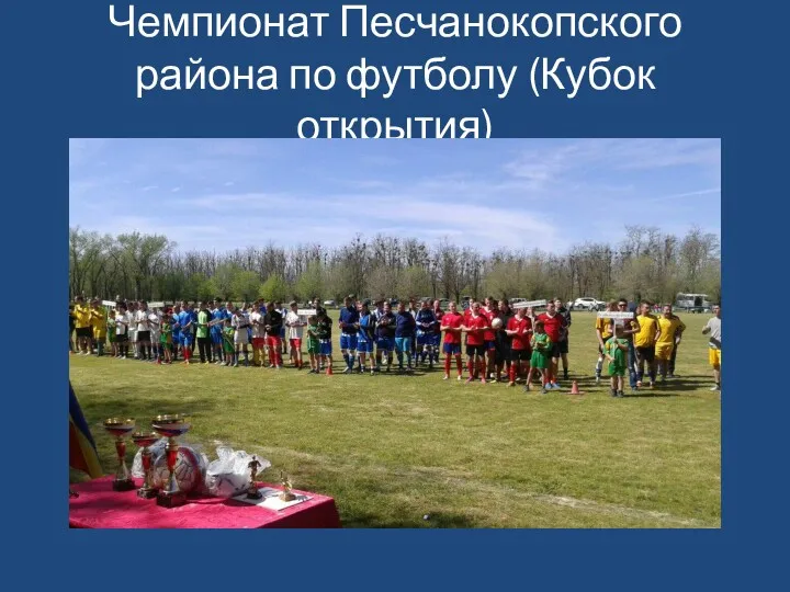 Чемпионат Песчанокопского района по футболу (Кубок открытия)