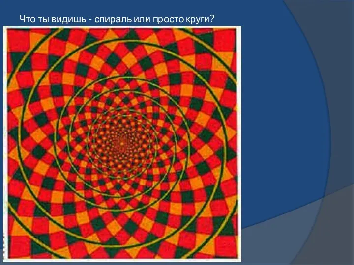 Что ты видишь - спираль или просто круги?