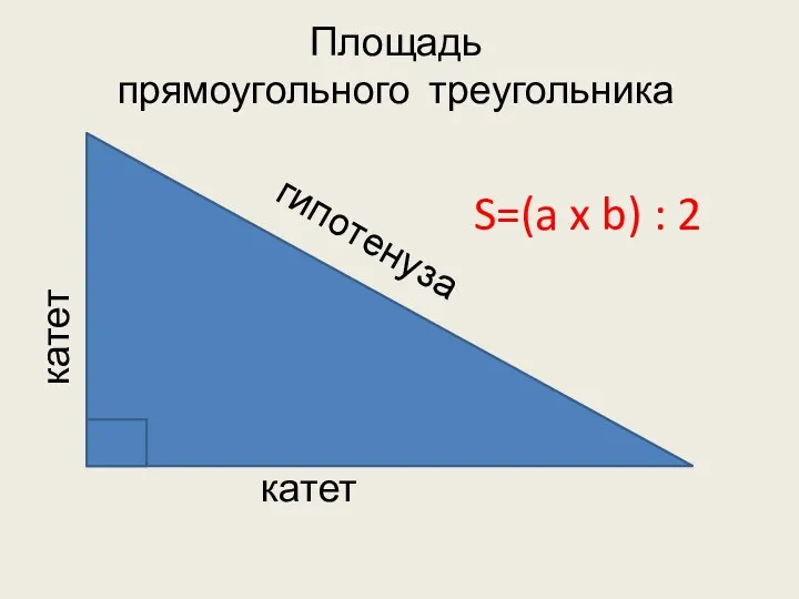 катет катет гипотенуза Площадь прямоугольного треугольника S=(a x b) : 2