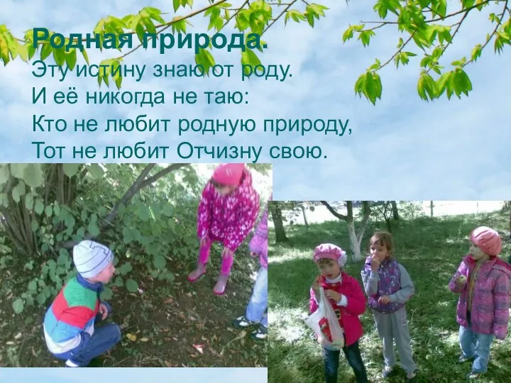 Родная природа. Эту истину знаю от роду. И её никогда