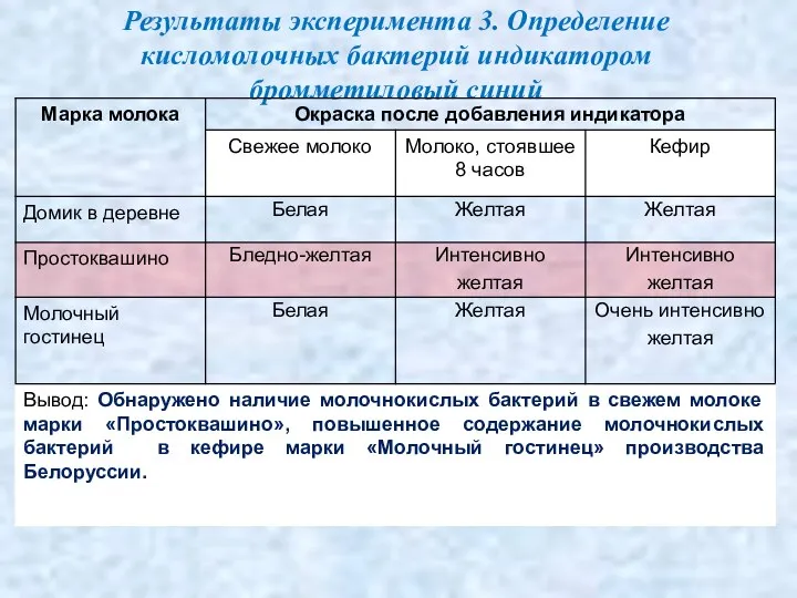 Результаты эксперимента 3. Определение кисломолочных бактерий индикатором бромметиловый синий