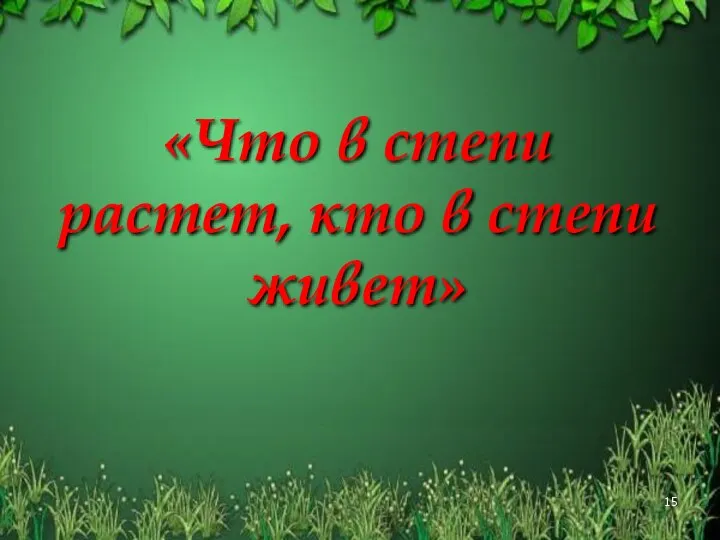 «Что в степи растет, кто в степи живет»