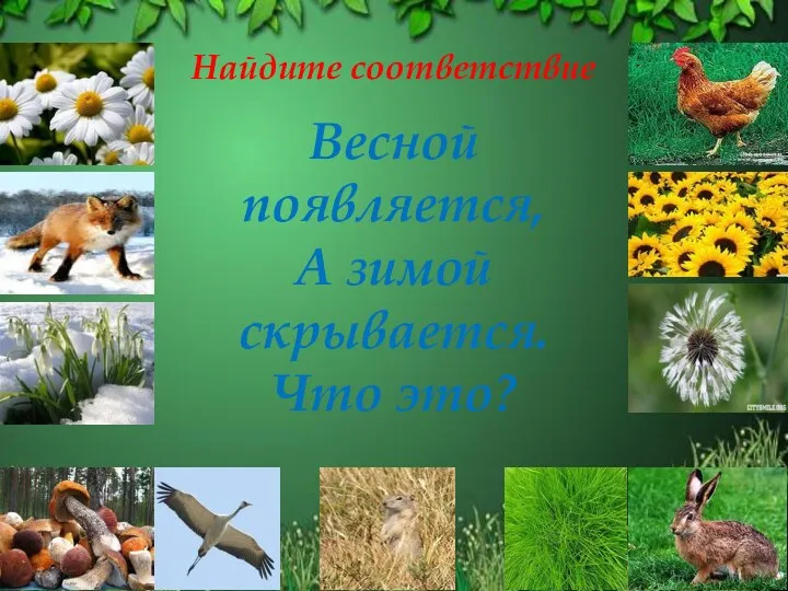 Найдите соответствие Весной появляется, А зимой скрывается. Что это?